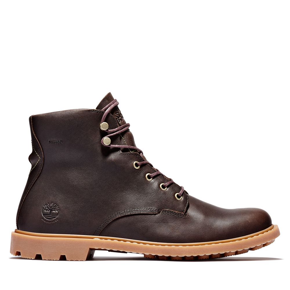 Bototos Timberland Hombre 6-Inch Belanger Ek+ Waterproof Marrones Oscuro - Chile PST-365841